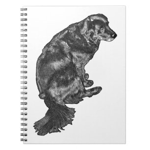 Foggy Plans & Paws — Retriever Notebook
