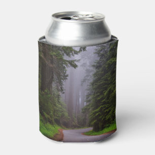 Foggy Redwood national park in northern California Can Cooler