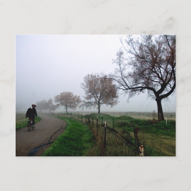 Foggy Rider Postcard (Front)
