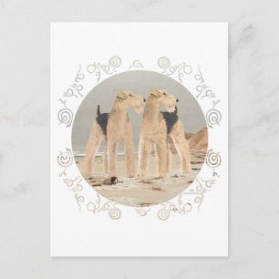 Foggy Seaside Postcard