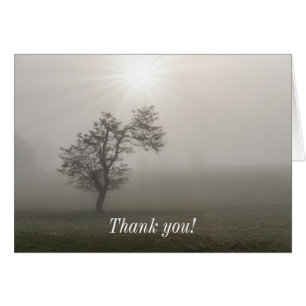 Foggy Starburst Tree Landscape Thank You Card
