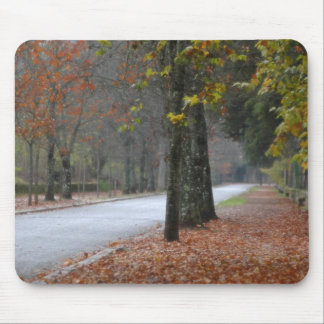 Foggy street mouse pad