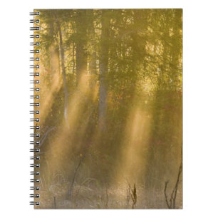 Foggy Sunrise at Tamarac NWR near Detroit Lakes Notebook
