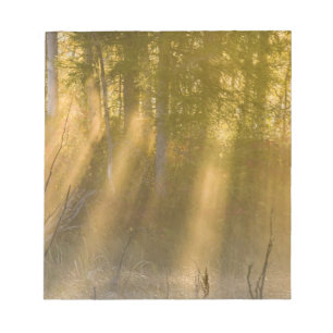 Foggy Sunrise at Tamarac NWR near Detroit Lakes Notepad