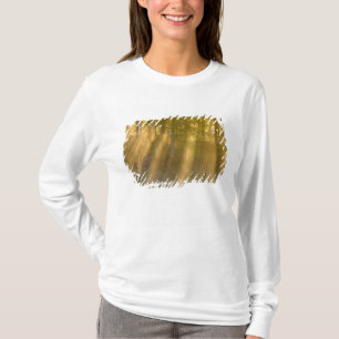 Foggy Sunrise at Tamarac NWR near Detroit Lakes T-Shirt