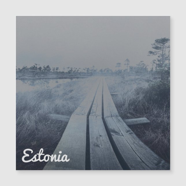 Foggy swamp landscape (Front)