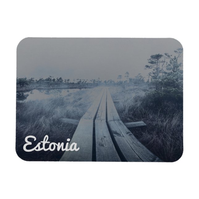 Foggy swamp landscape magnet (Horizontal)