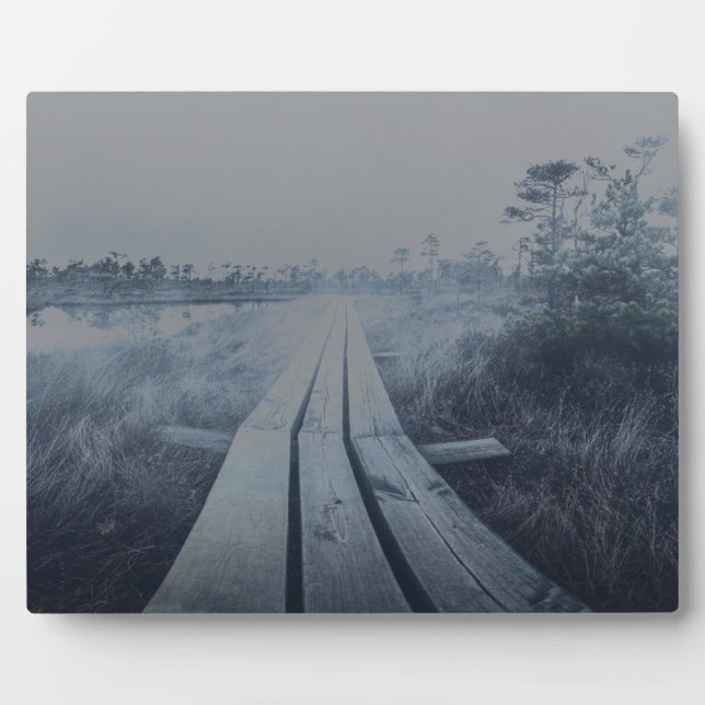 Foggy swamp landscape plaque (Front)