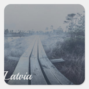 Foggy swamp landscape square sticker
