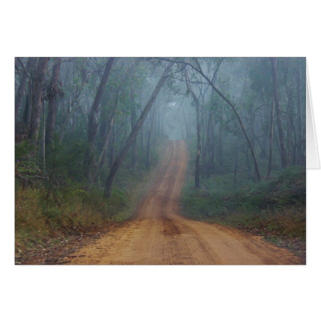 Foggy Trail (Front Horizontal)