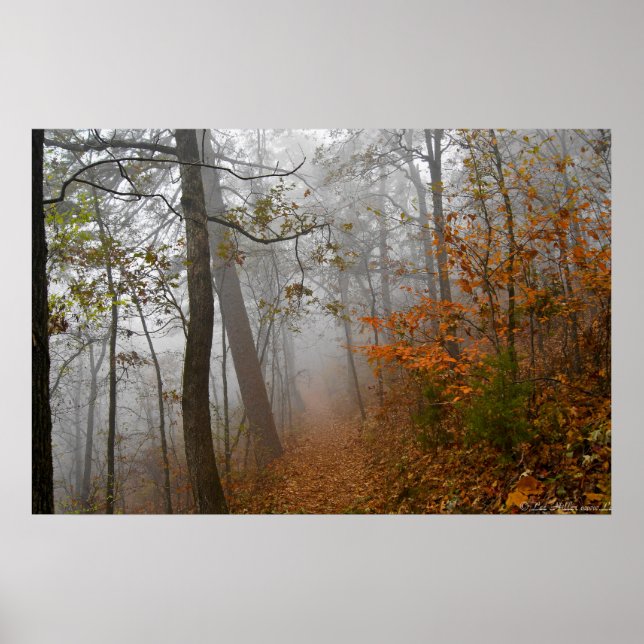 Foggy Trail in the Autumn Forest Poster (Front)