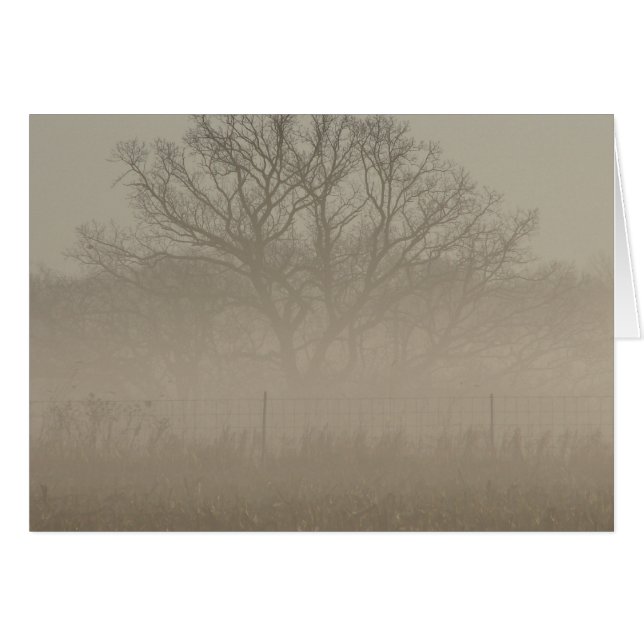Foggy Tree (Front Horizontal)