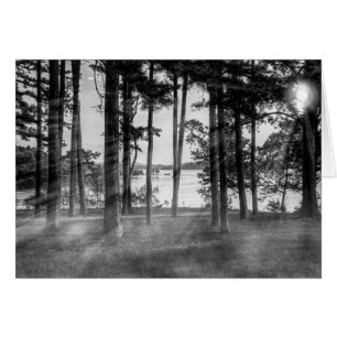 Foggy Trees At Table Rock Grayscale