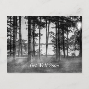 Foggy Trees At Table Rock Grayscale Get Well Postcard
