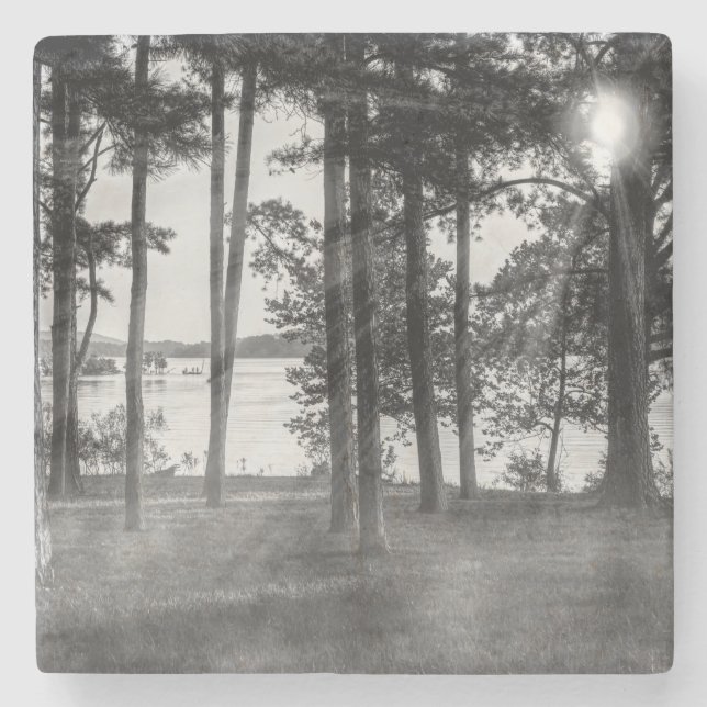Foggy Trees At Table Rock Grayscale Stone Coaster (Front)