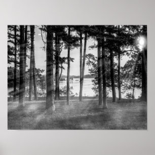 Foggy Trees At Table Rock Grayscape Poster