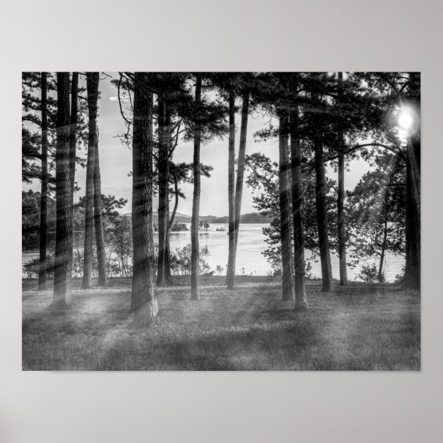 Foggy Trees At Table Rock Grayscape Poster (Front)