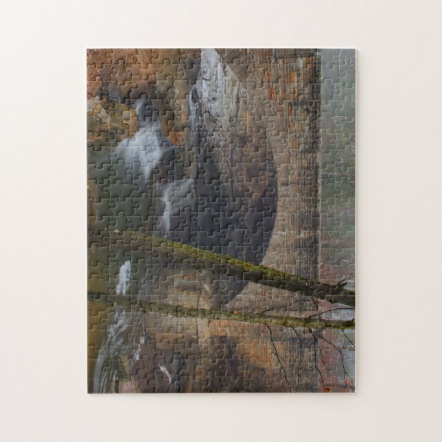 Foggy Waterfall in the Cleveland Metro Parks Jigsaw Puzzle (Vertical)