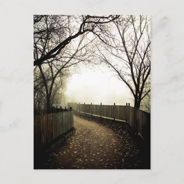 Foggy Waterfront 01 Postcard (Front)