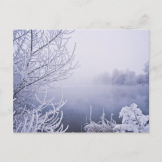 Foggy Winter Day by the River Postcard