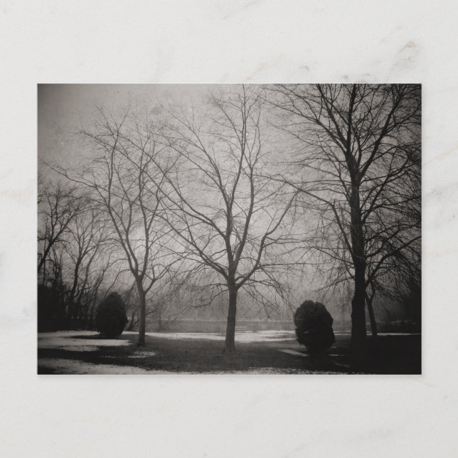 Foggy Winter Melting Snow Art Postcard (Front)