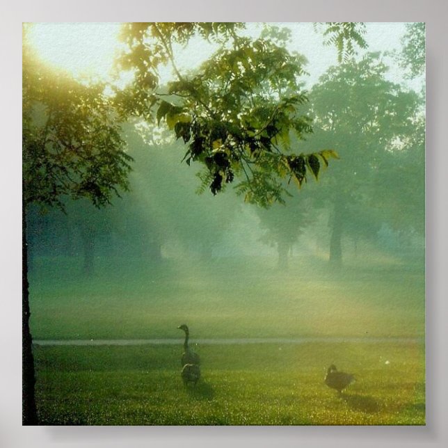 foggygeese poster (Front)