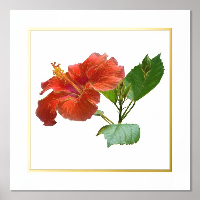 Foil Accent Red Hibiscus Flower Print (Front)