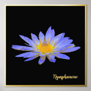 Foil Accent Water Lily Design Print Poster Art