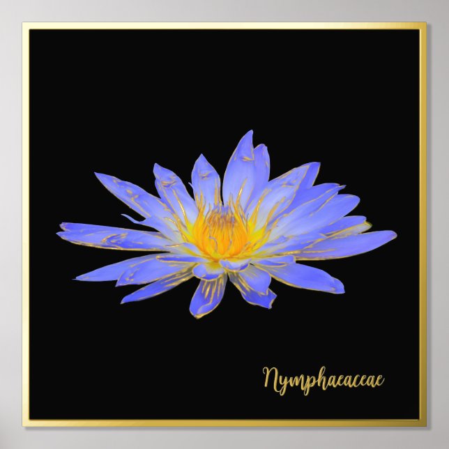 Foil Accent Water Lily Design Print Poster Art (Front)