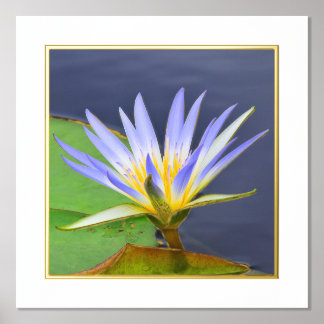 Foil Accent Yellow & Lavender Water Lily Print