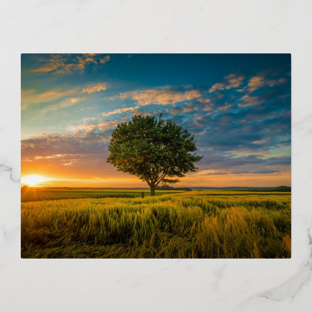 Foil Holiday Post Card (Front)