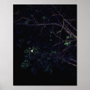 FOIL PRINT ART AND DESIGN STYLES