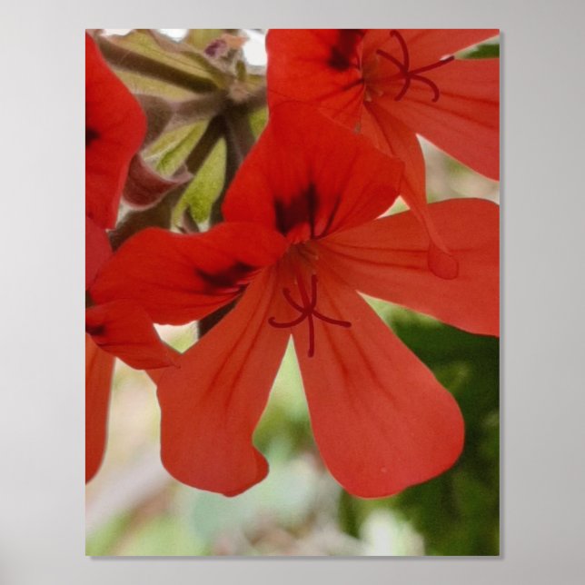 FOIL PRINT POSTER ART AND DESIGN  (Front)