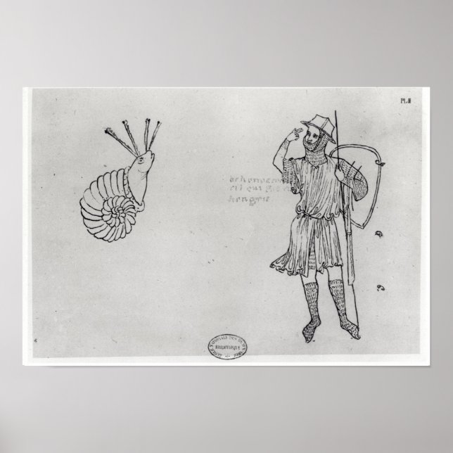 Fol.2 Snail and Hungarian soldier Poster (Front)