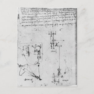 Fol. 46v, from the Codex Forster III, 1480s-1494 Postcard