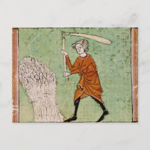 Fol.59r August: Threshing Wheat Postcard