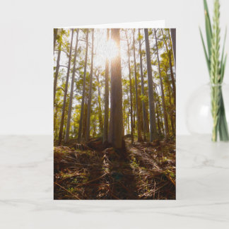 Folded Announcement Card, dwellingup