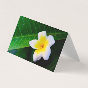 Folded Business Card