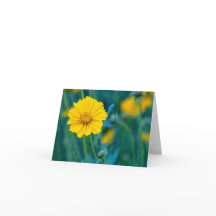 Folded Card Blank Inside