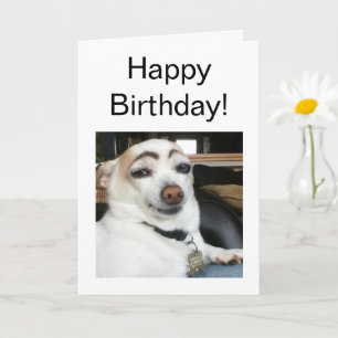 Folded Card Eyebrow Dog Meme