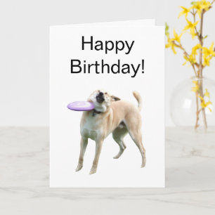Folded Card Frisbee Dog Meme