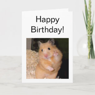 Folded Card Peace Hamster Meme