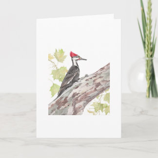 Folded card - Pileated Woodpecker - blank inside