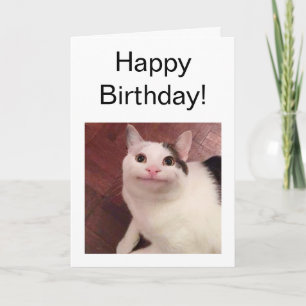 Folded Card Polite Cat Meme