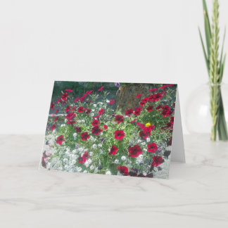 Folded Card with Alpine Petunias