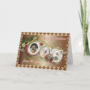 Folded Christmas Card For The Dog Lover