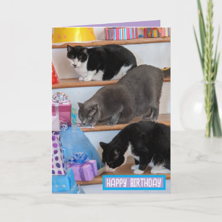 Folded Greeting Card