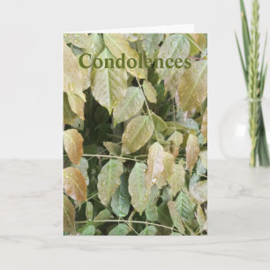 Folded Greeting Card