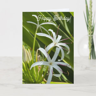 Folded Greeting Card