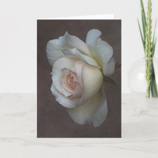 Folded Greeting Card